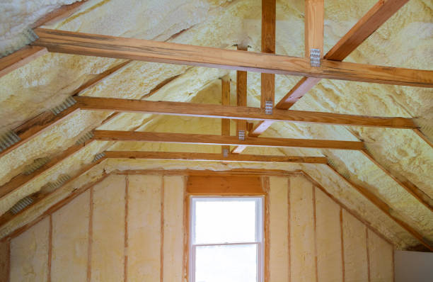 Best Insulation Inspection Services  in Boyceville, WI