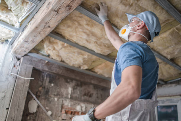 Best Home Insulation Services  in Boyceville, WI