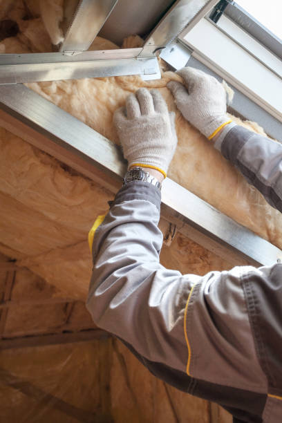 Trusted Boyceville, WI Insulation Contractor Experts