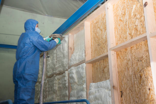 Best Soundproof Insulation Installation  in Boyceville, WI